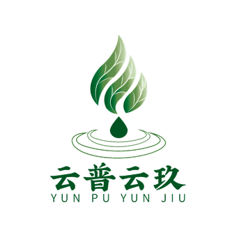 云普云玖 YUNPU YUNJIU 客户logo
