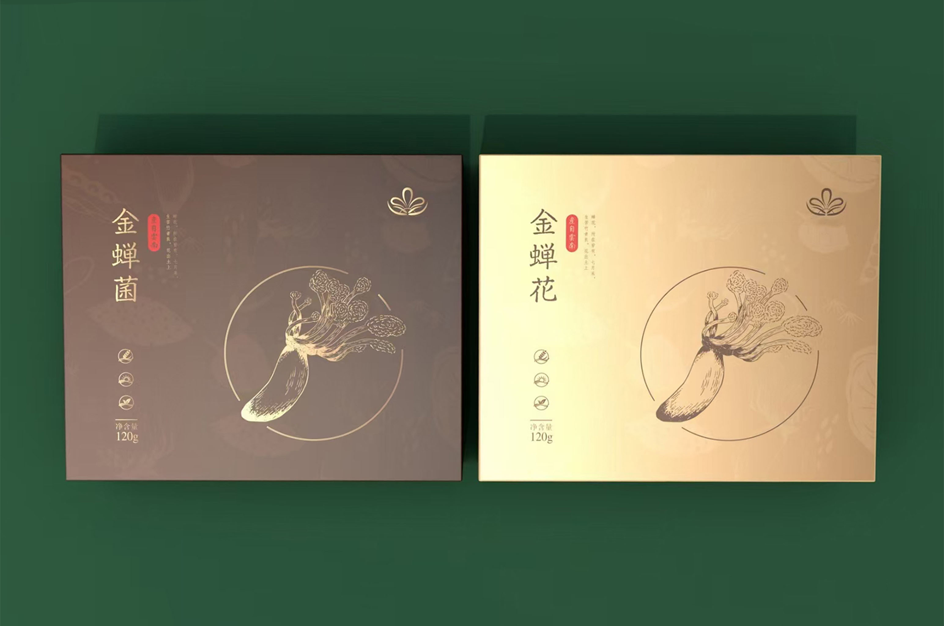 药品/保健品礼盒 图5