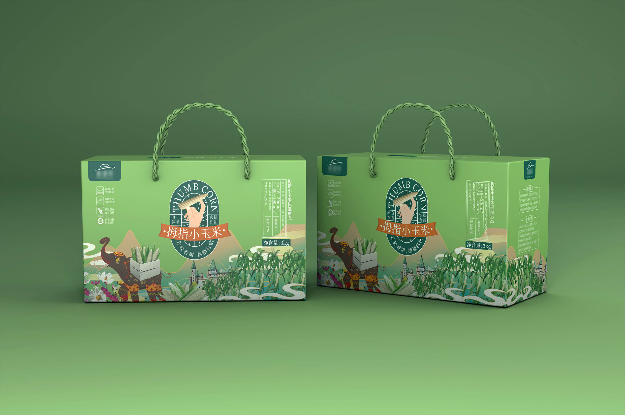 玉米瓦楞盒 图1